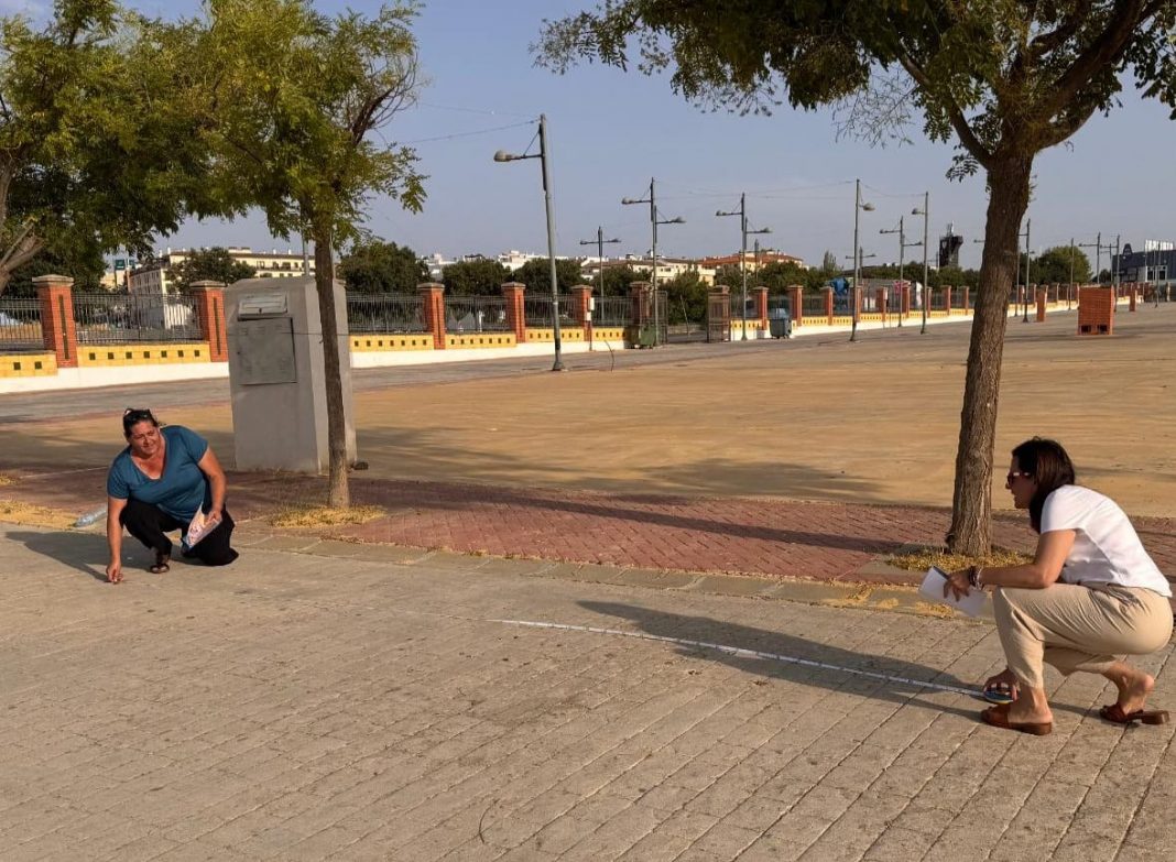 Recinto ferial de Ronda preparado para la Feria de Pedro Romero