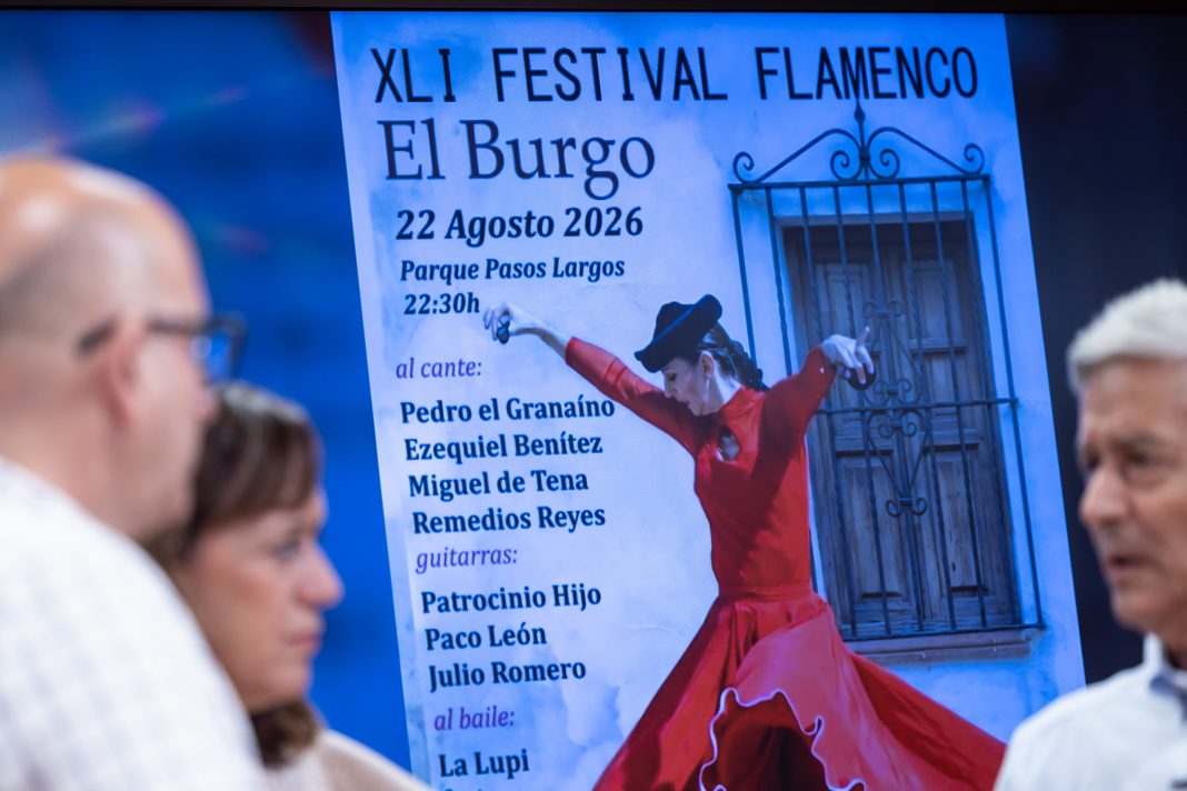 Actuación flamenca durante el Festival de El Burgo