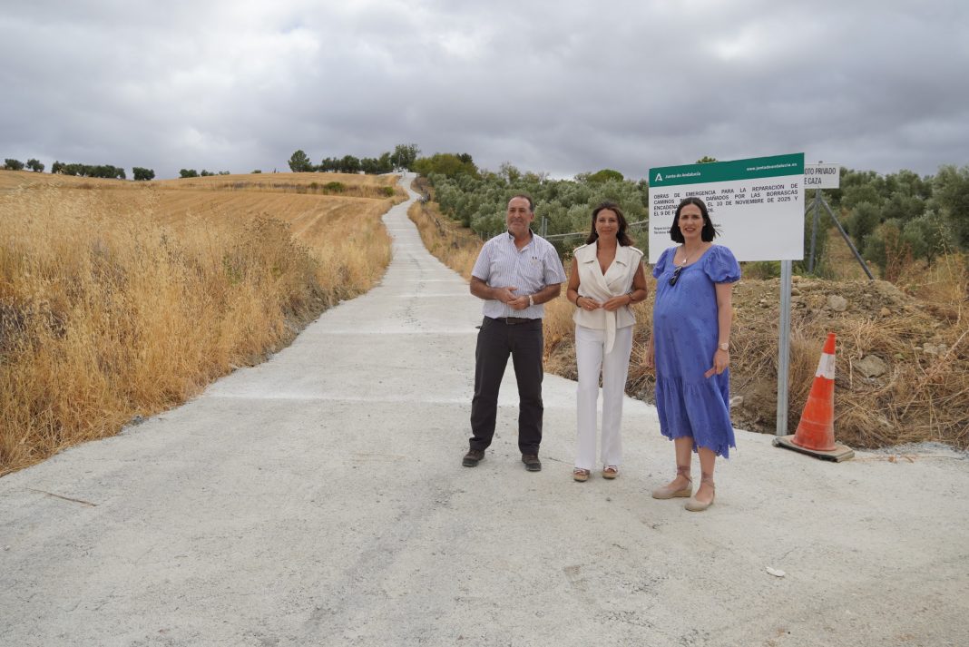 Obras de reparación en un camino rural de Ronda