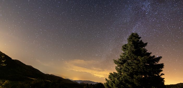 Paisaje y biodiversidad del Parque Nacional Sierra de las Nieves