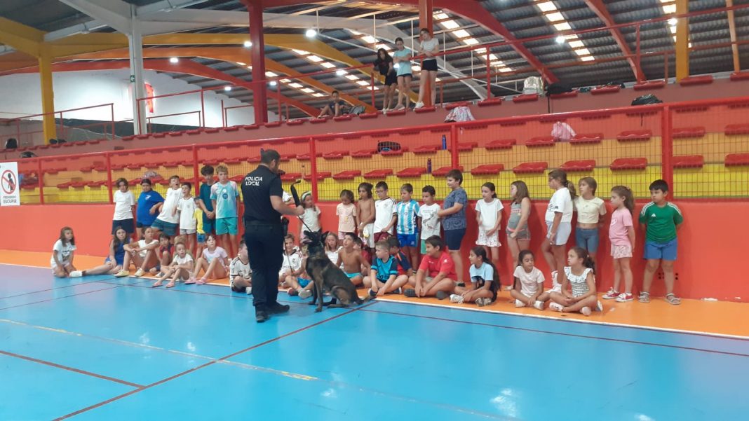 Perro de la Unidad Canina de la Policía Local de Ronda durante una exhibición infantil