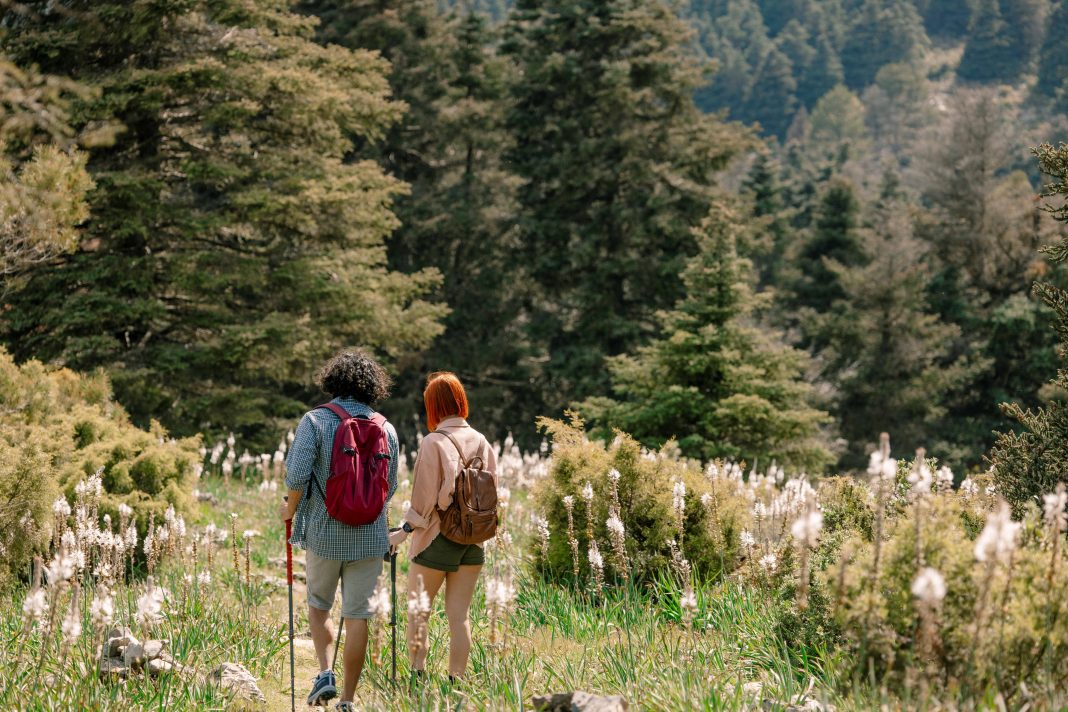 Jóvenes en un entorno natural de la Sierra de las Nieves