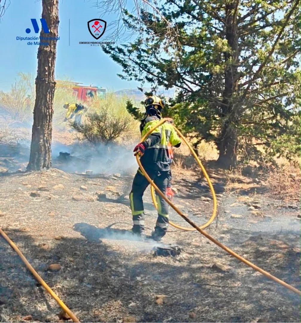 Efectivos de emergencia en un incendio forestal en la Dehesa del Mercadillo