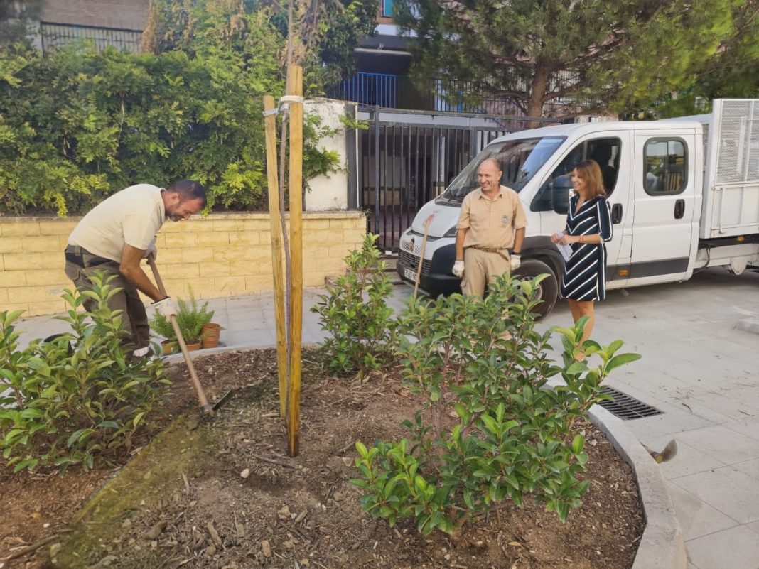 Nuevas zonas ajardinadas junto a la calle Virgen de Fátima en La Dehesa