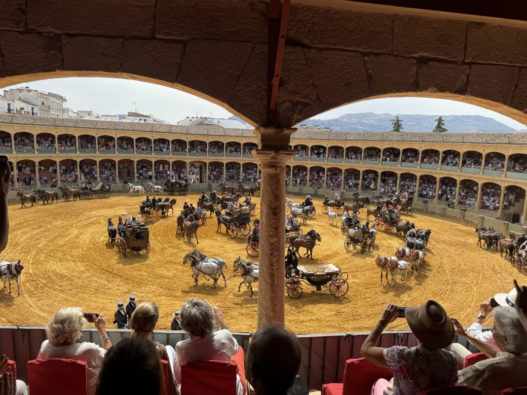 Carrusel final de enganches en la Plaza de Toros de Ronda